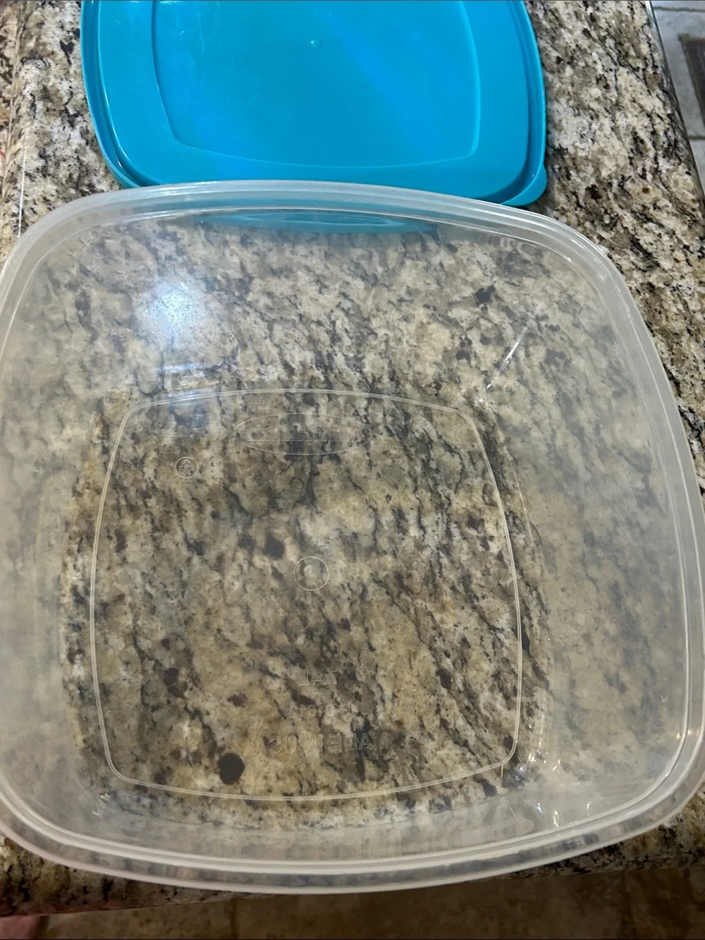American maid clear food